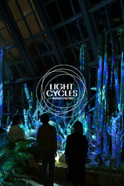Kyoto Botanical Garden: LIGHT CYCLES KYOTO