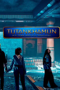 Tutankhamun: His Tomb and His Treasures - Waitlist
