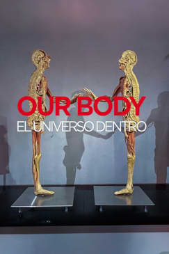 Our Body: El Universo dentro - La experiencia
