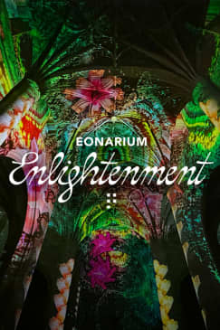 Enlightenment: An Immersive Light Show