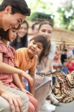 Singapore Zoo: Meet orangutans, snakes and more