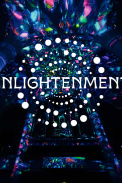 PROJEKTIL presents: ENLIGHTENMENT, eine immersive Lichtshow in Düsseldorf