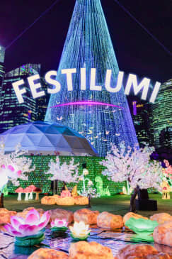 Festilumi - Hong Kong