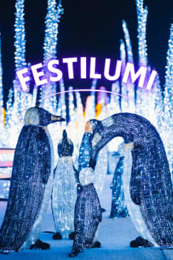 Festilumi