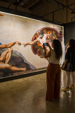 La Capilla Sixtina de Miguel Ángel: La Exposición