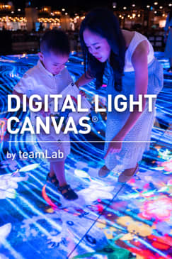 Digital Light Canvas by teamLab