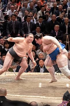Sumo Tournament Experience in Tokyo