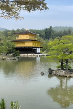 Discover Kyoto by Bike Full Day Tour