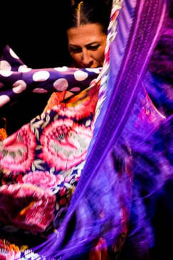 Museo del Baile Flamenco: Solo el espectáculo