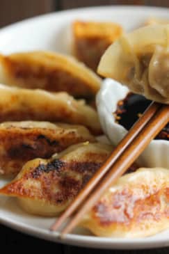 Make Your Own Dumplings – Denver