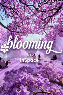 BLOOMING: The City Blossoms - Immersive Experience Inspired by CDMX's Jacarandas