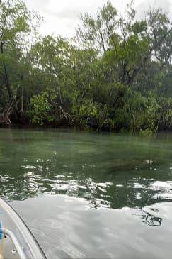 Clear Kayak Eco Tour in Jupiter, Florida