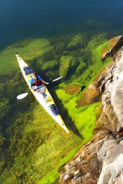 Stockholm Archipelago Kayaking Day Tour