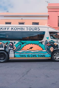 Urban Safari in Cape Town