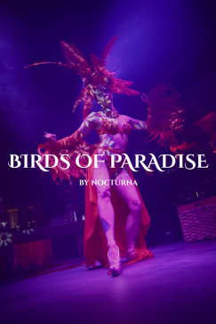 Birds of Paradise by Nocturna