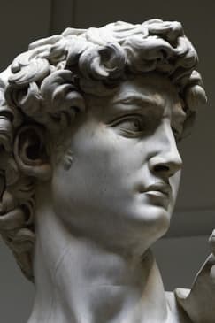 Galleria dell'Accademia: Biglietto saltafila + Tour guidato