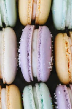 The Macaron Experience: Pipe, Bake, Fill: Fort Worth