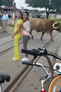 Bikes and BBQ: Electric Bike Tour of Fort Worth