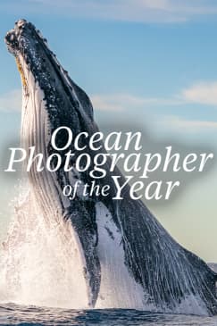 Ocean Photographer of the Year Exhibition