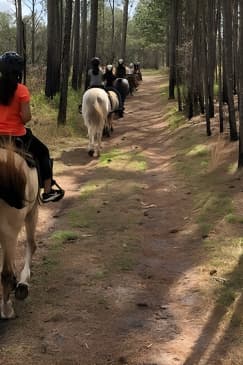 Horseback Ride on Scenic Lake Louisa Trails
