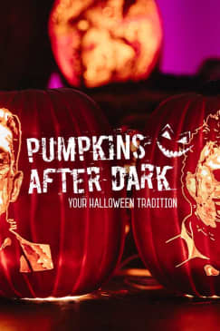 Pumpkins After Dark