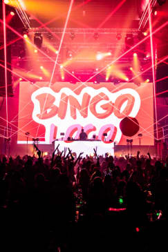 Bingo Loco: The Ultimate Bingo Party