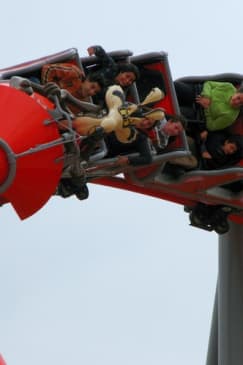 Parque Warner Madrid: ¡pura adrenalina!