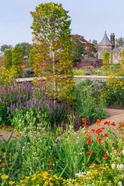 RHS Garden Bridgewater