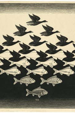 M.C. Escher - Exposition