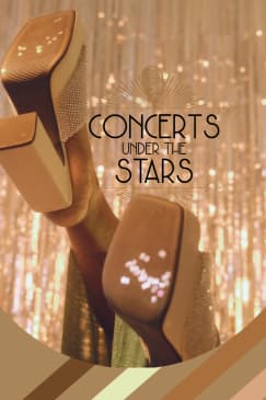 ABBA Under The Stars at the Minneapolis Marriott City Center