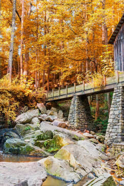 Marietta Mystery Picnic: Aventura gastronómica autoguiada