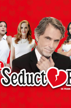 Seductor - Chihuahua