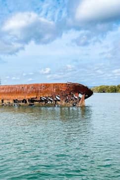 90 Minute Port River Dolphin & Ships Graveyard Cruise