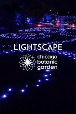 Lightscape at Chicago Botanic Garden