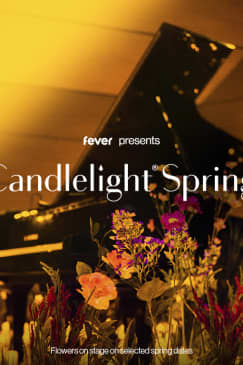 Candlelight: Tribute to Ludovico Einaudi