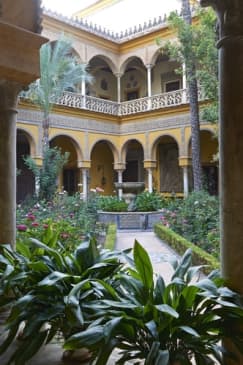 Visit the Palacio de las Dueñas with audio guide and without queues!