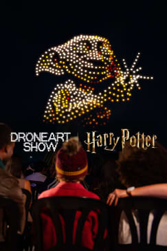 DroneArt Show: Harry Potter™ at Hamilton Park Racecourse