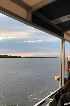 Wildlife Tour of Indian River Lagoon with Experienced Captain