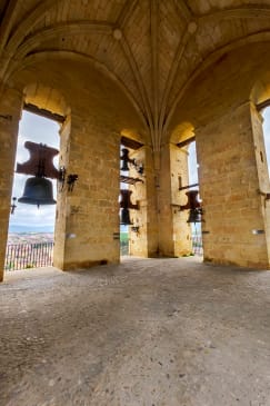 Visita guiada a la Torre