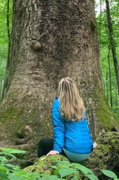 Forest Bathing & Nature Therapy Walk