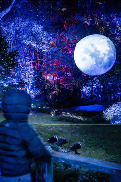 Lightscape: A Dazzling Trail of Color and Light - Waitlist