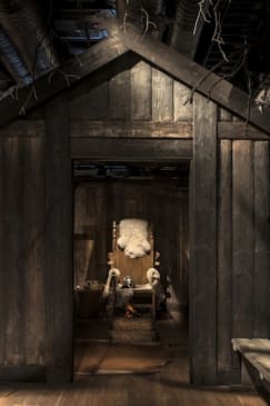 Vikingamuseet: Inträdesbiljett