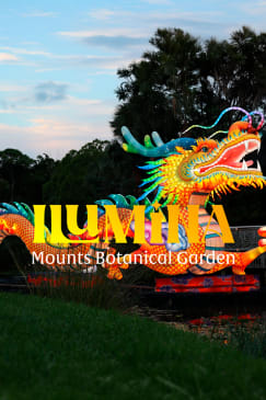 ILUMINA: A Tropical Garden Lantern Festival