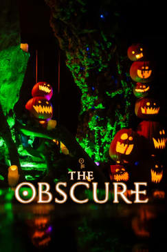 The Obscure: Distillery & Cocktail Experience