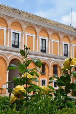 Royal Alcazar of Seville: Entrance