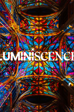 LUMINISCENCE : Discover the secrets of the San Jacinto Parish