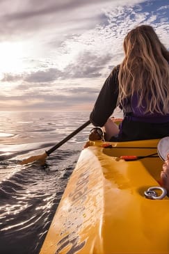Kayak to the penguins in Simons Town