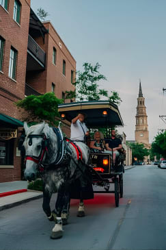 Haunted Evening Horse and Carriage Tour of Charleston