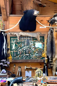 Gem Mining and Goat Farm Walking Tour in Hendersonville