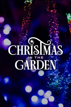 Christmas in the Garden